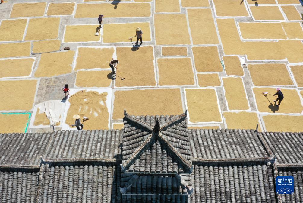 小太阳网注册